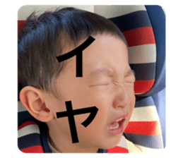 442031847