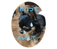 442035775