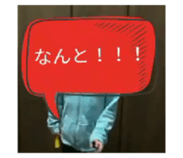 44205082