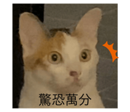442051759