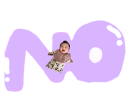 442062528