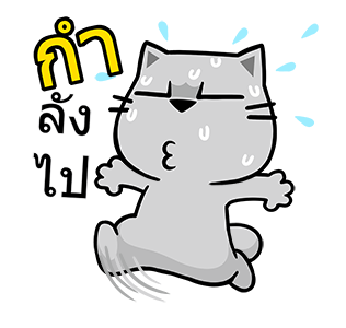 เหมียวจั่วจัว สติกเกอร์ดุ๊กดิ๊ก รูปที่ 21