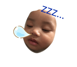 442264962