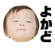 442320400