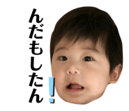 442320403