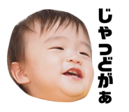 442320404
