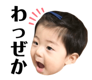442320405