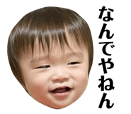 442331854