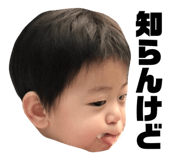 442331861