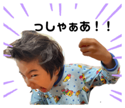 442338080