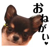 442339474