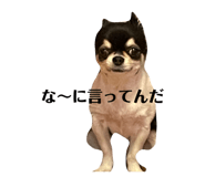 442339476