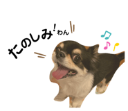 442339487