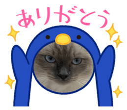 442340652