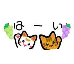 442342116