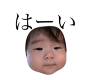 442342652