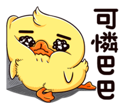 442353072