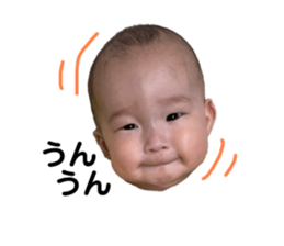 442365231