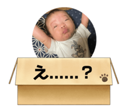 442383687