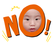 442404544