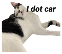 442406308
