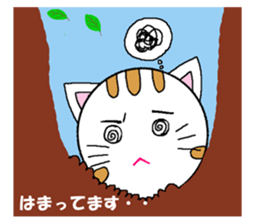 4425019