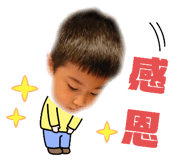 442503661