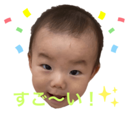 442560011