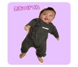 442560229