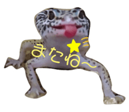 442599377