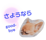 442611500