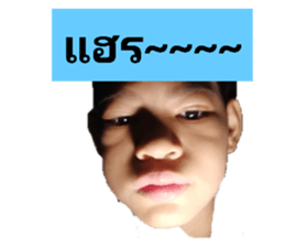 442639599