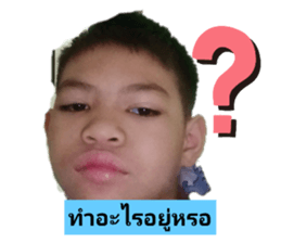 442639611
