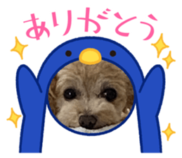 442682029