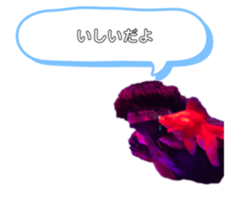 442732470