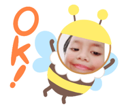 442844135