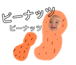442862144