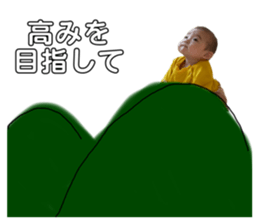442862149