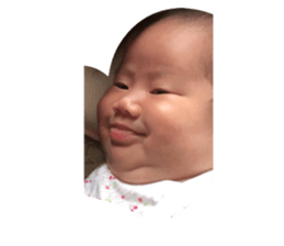 442885928