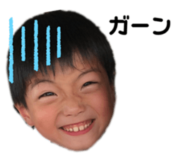 442896537