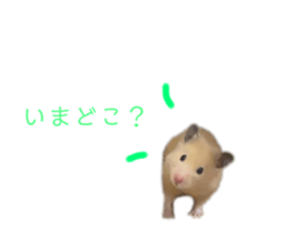 442909200