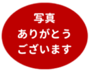 442947396