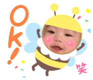 442950532