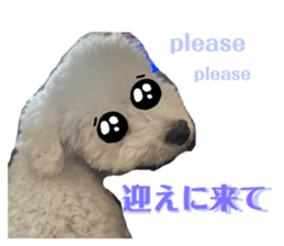 442961357