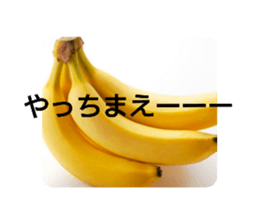 442961656