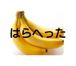 442961660