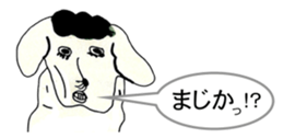 442969904