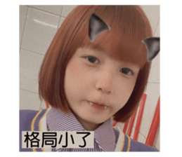 442974687