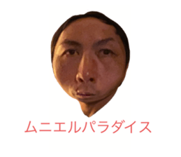 442980540