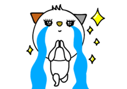 443080503